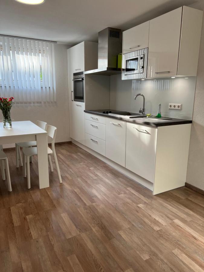 Fewo Haus 4 Lahr/Schwarzwald Kültér fotó