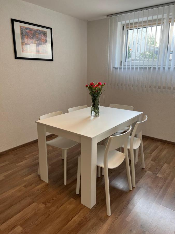 Fewo Haus 4 Lahr/Schwarzwald Kültér fotó