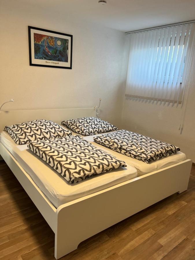 Fewo Haus 4 Lahr/Schwarzwald Kültér fotó